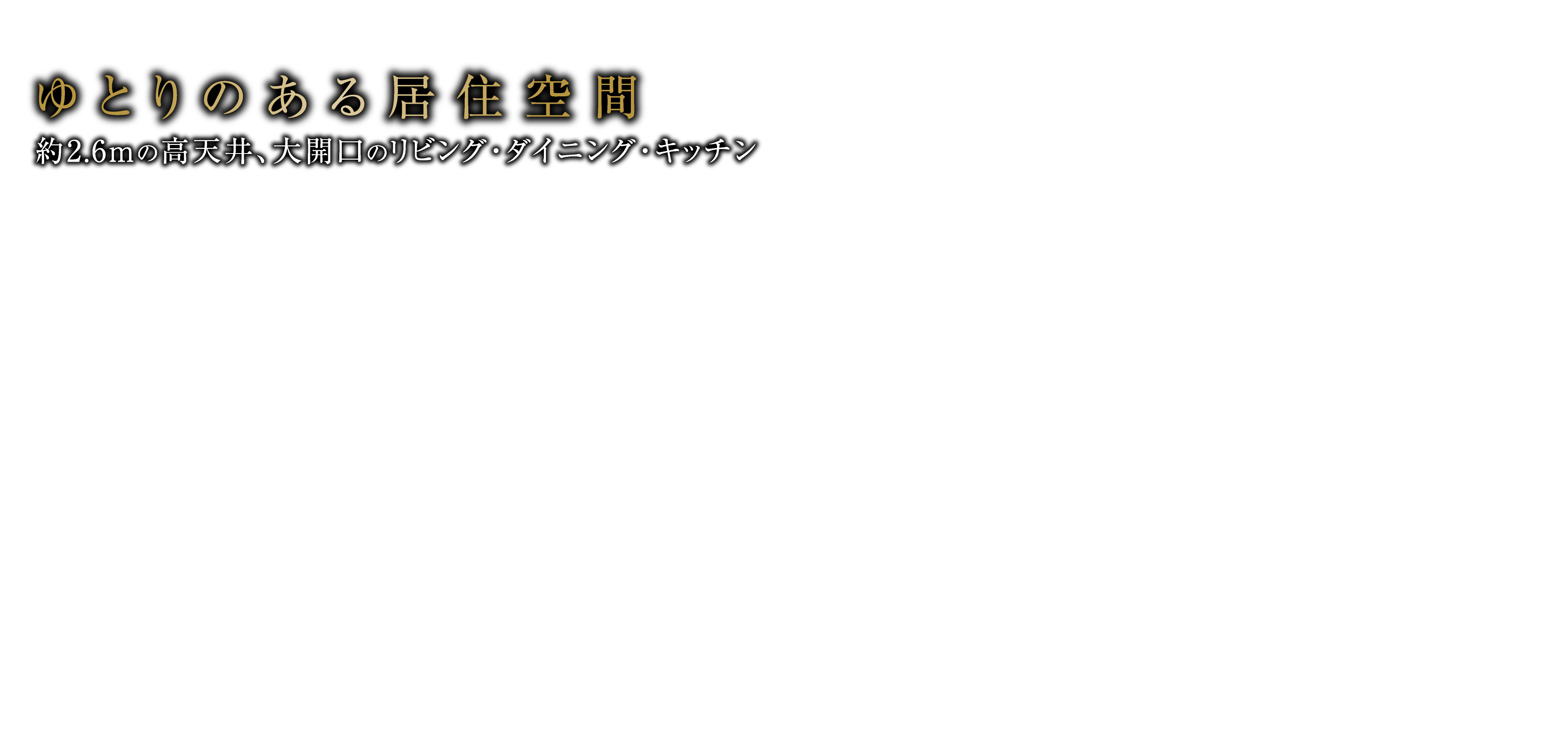 ゆとりある居住空間