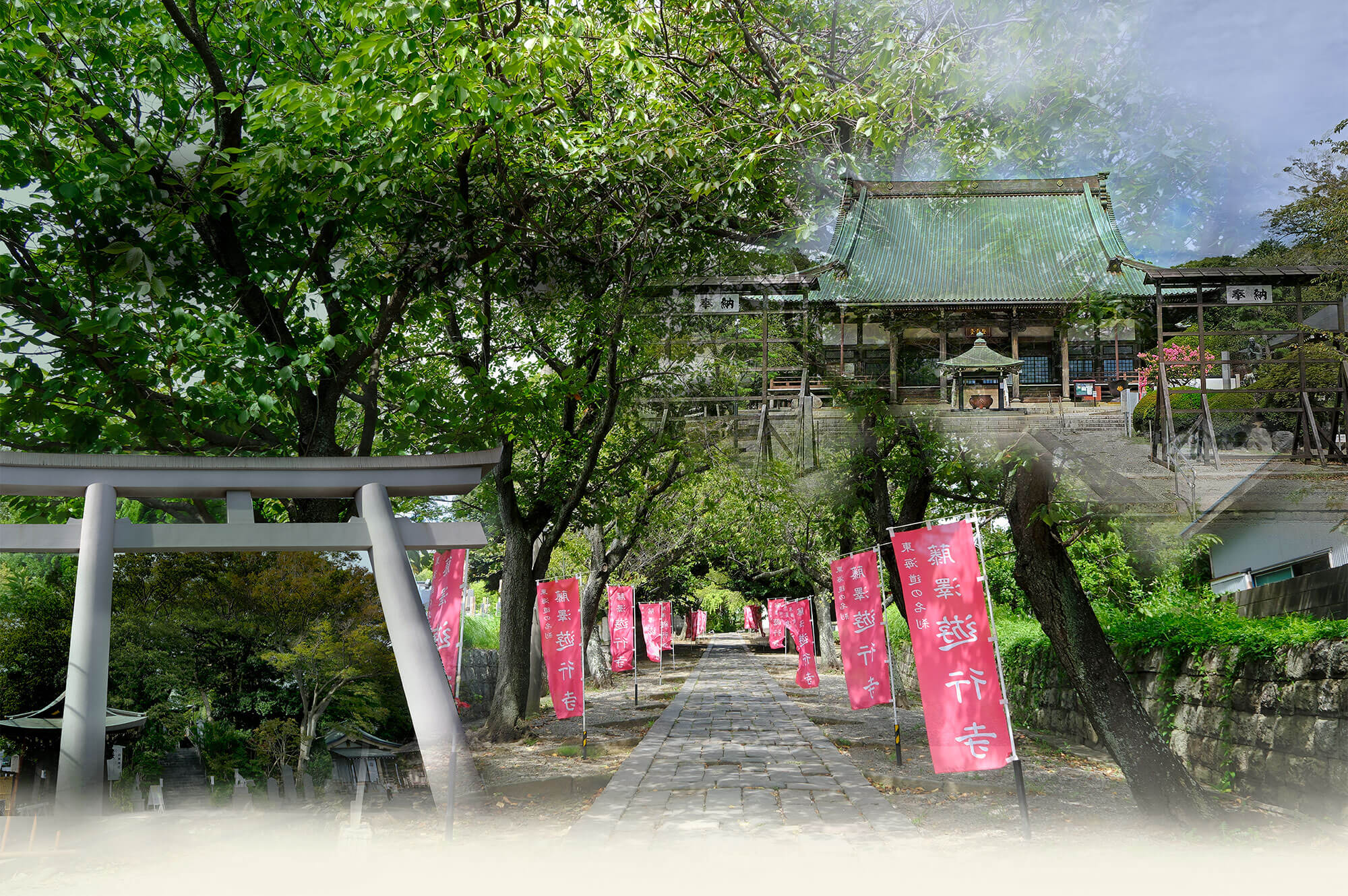 image photo
