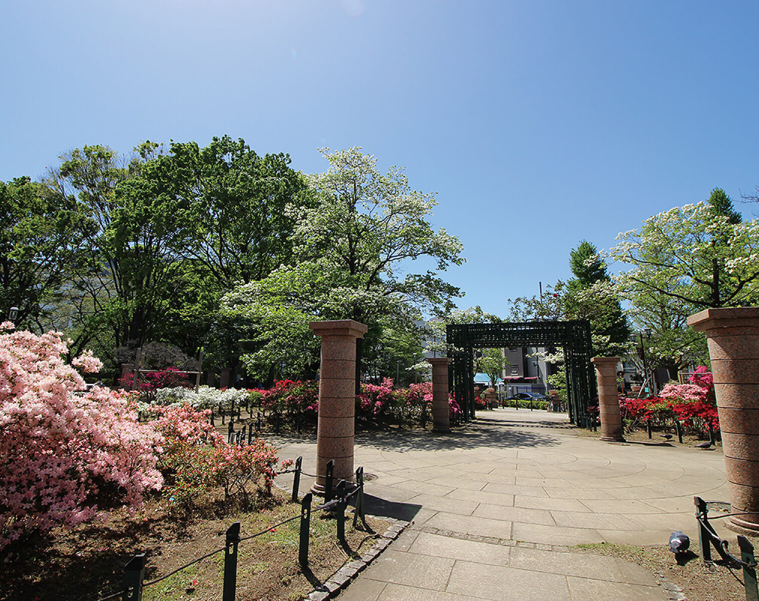 平成つつじ公園(徒歩13分/約1,030m)