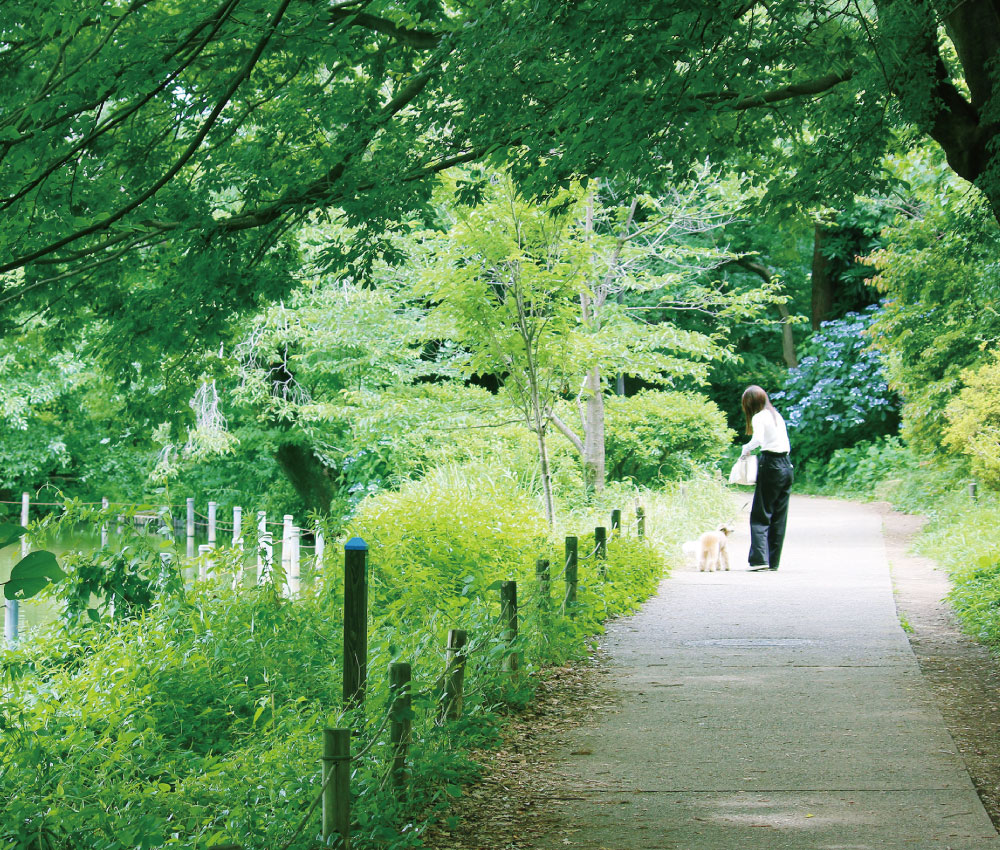 善福寺公園