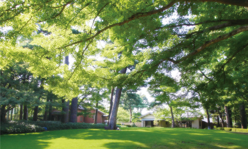 　大田黒公園