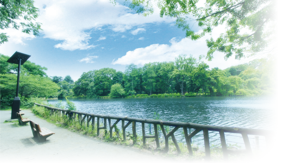 善福寺公園