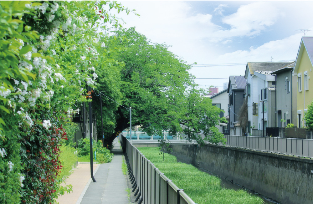 善福寺川 徒歩1分／約80m