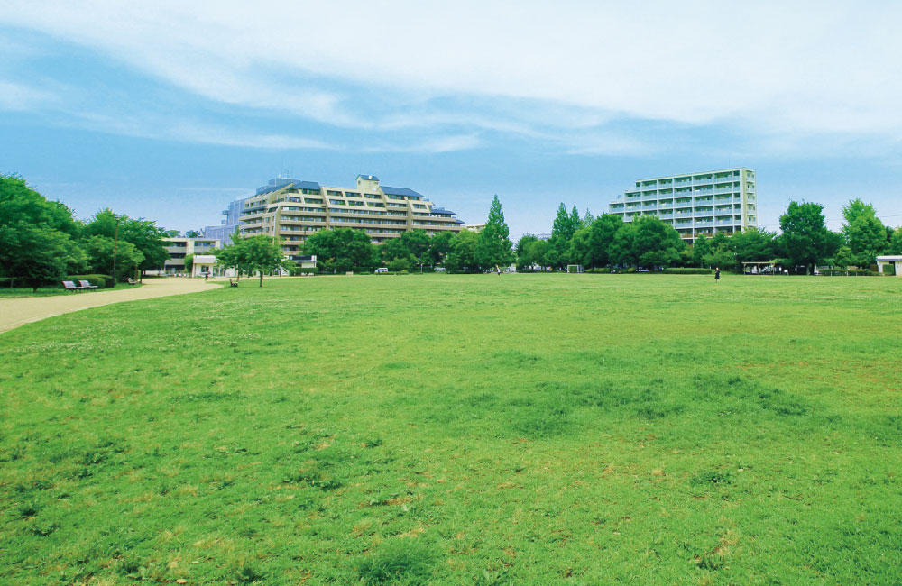 桃井原っぱ公園