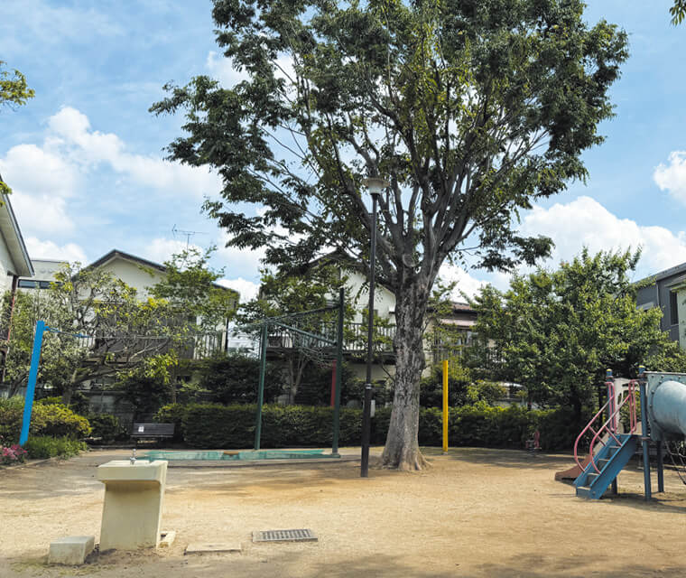 青葉公園