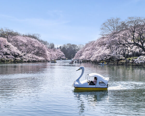 井の頭恩賜公園①