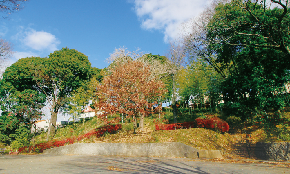 フィットネスクラブ アトリオドゥーエNext 青葉台