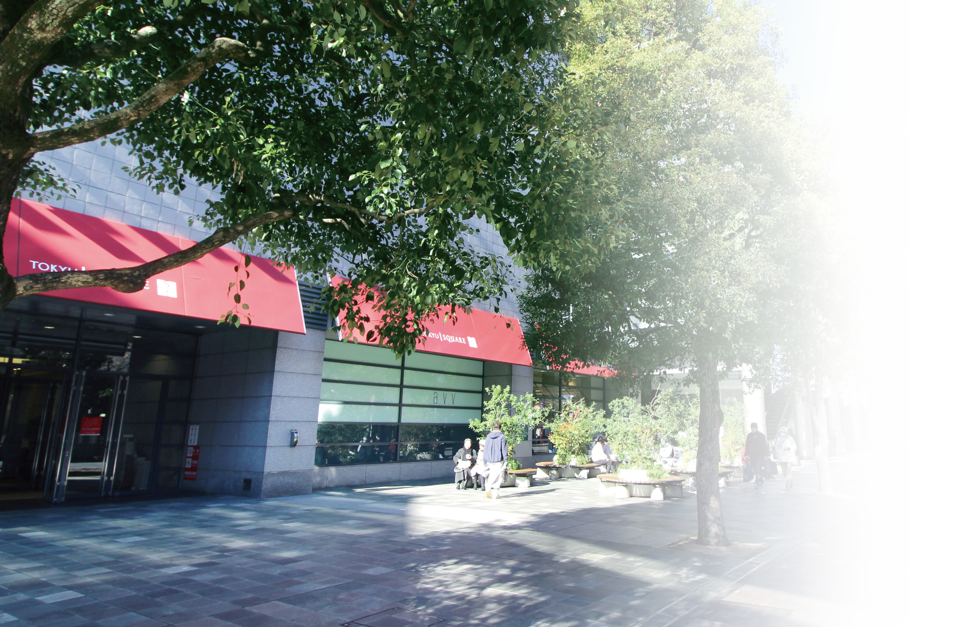 青葉台東急スクエア