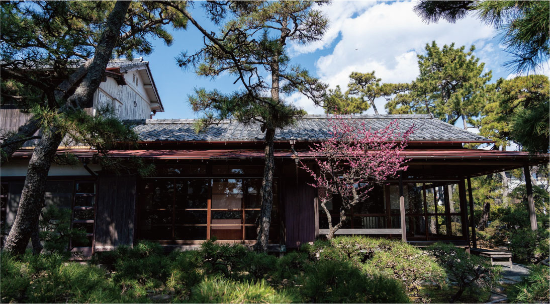 氷室椿庭園