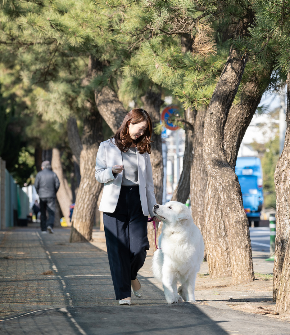 一中通り