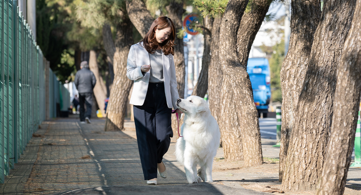 一中通り