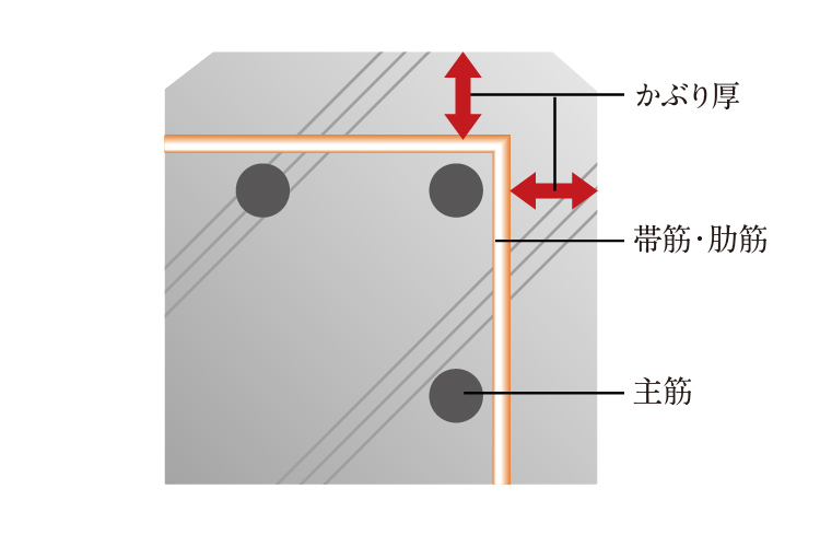 鉄筋コンクリートのかぶり厚