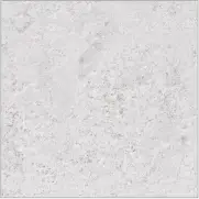 エントランス床タイル