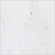 エントランス壁タイル