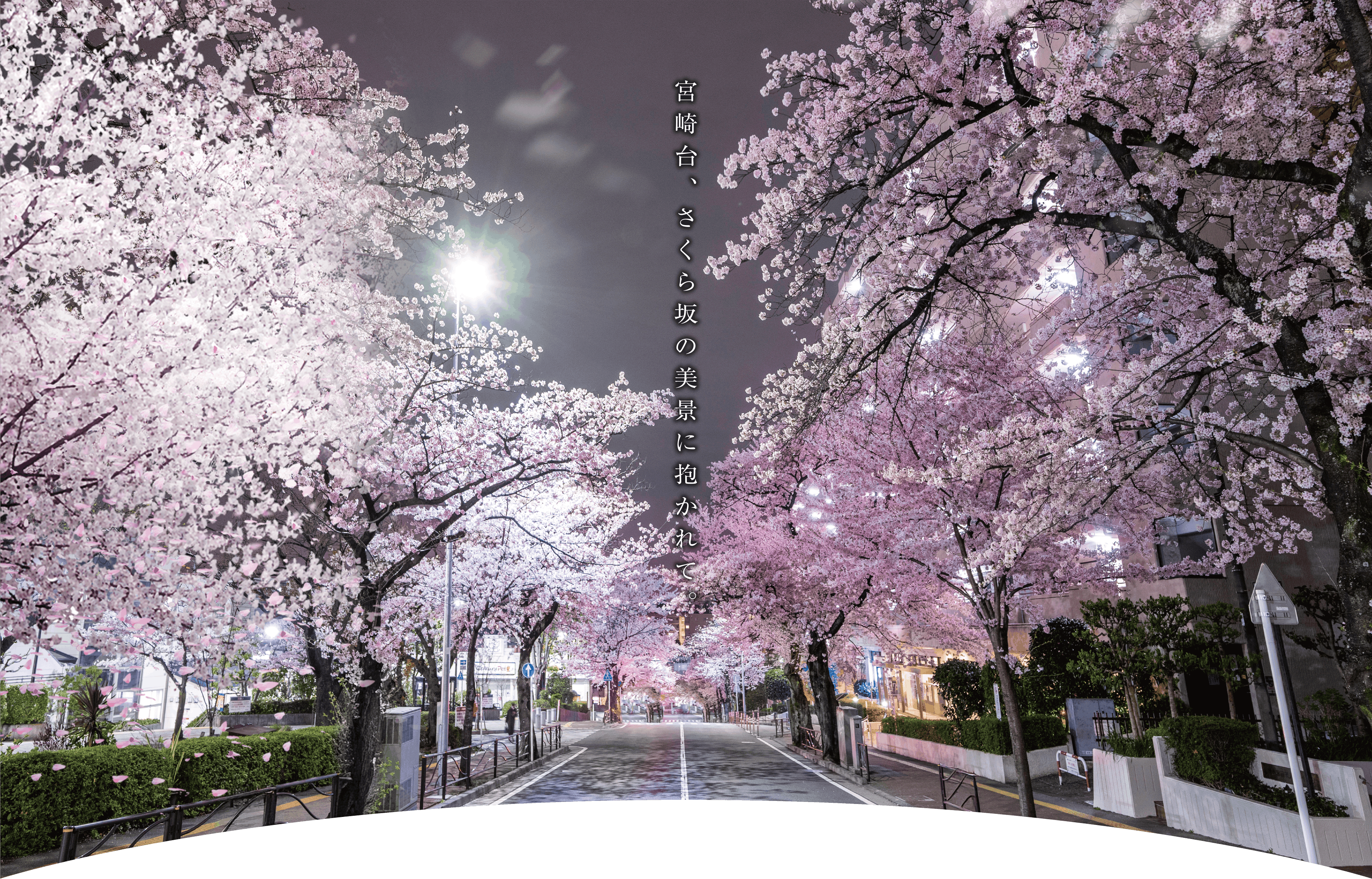 パレステージ宮崎台Ⅲ 宮崎台駅徒歩6分の新築マンション