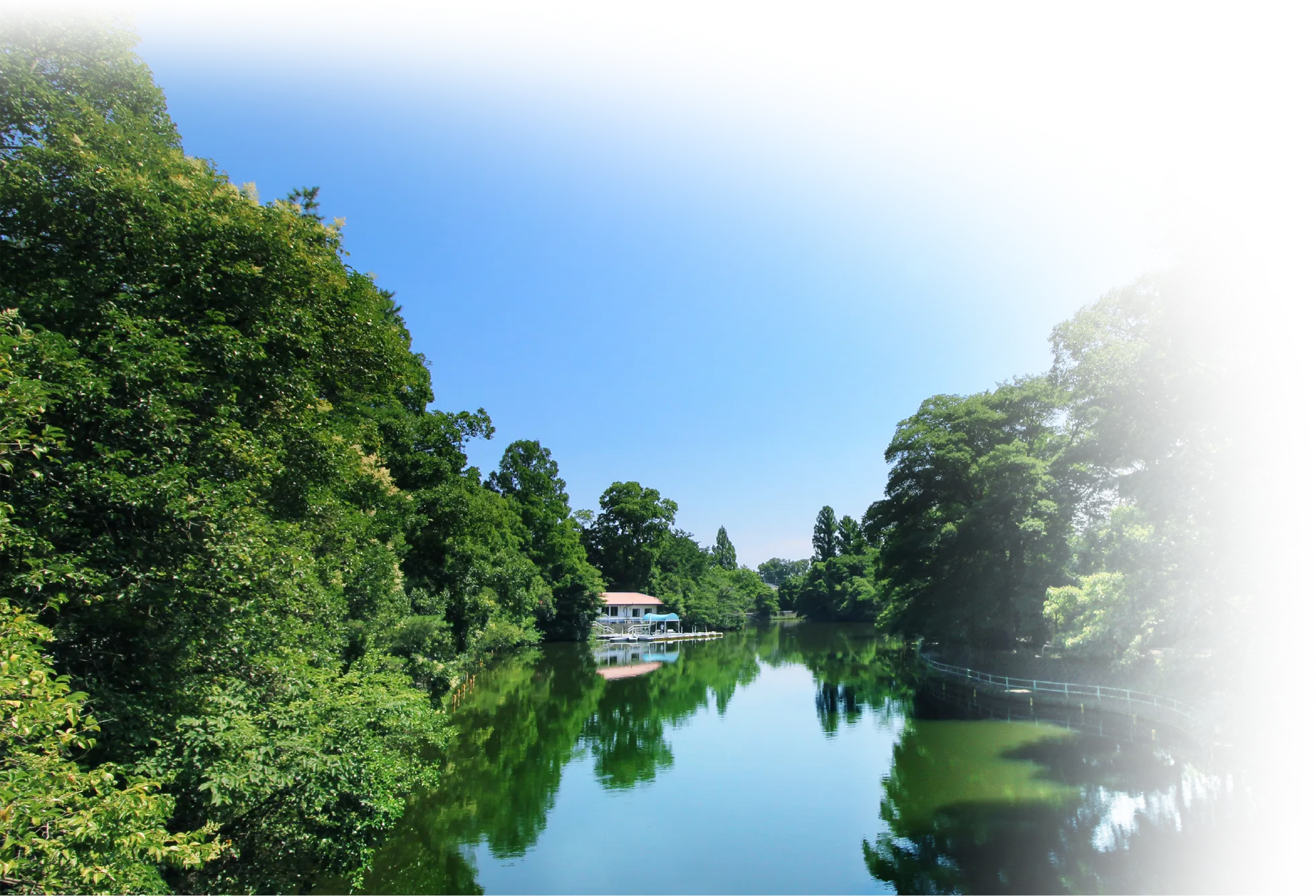 武蔵関公園