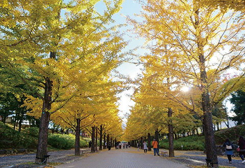 慶應義塾大学 日吉キャンパス